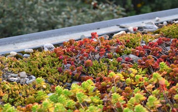 the cost of Tilgate Forest Row green roof installation