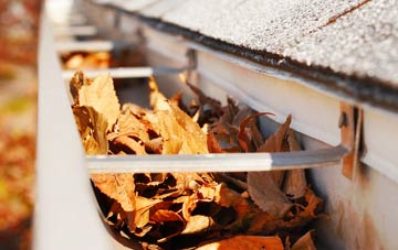 Tilgate Forest Row gutter cleaning companies