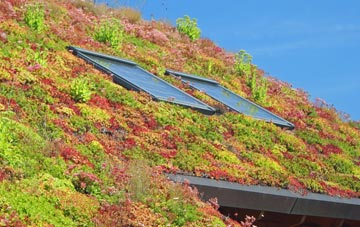 Tilgate Forest Row living roof systems