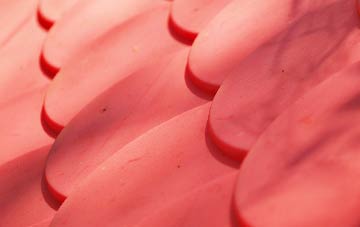 Tilgate Forest Row plastic roof costs