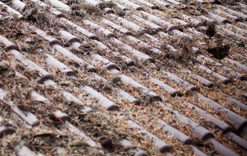 Tilgate Forest Row roof cleaning companies