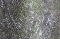 Tilgate Forest Row fibreglass roof work